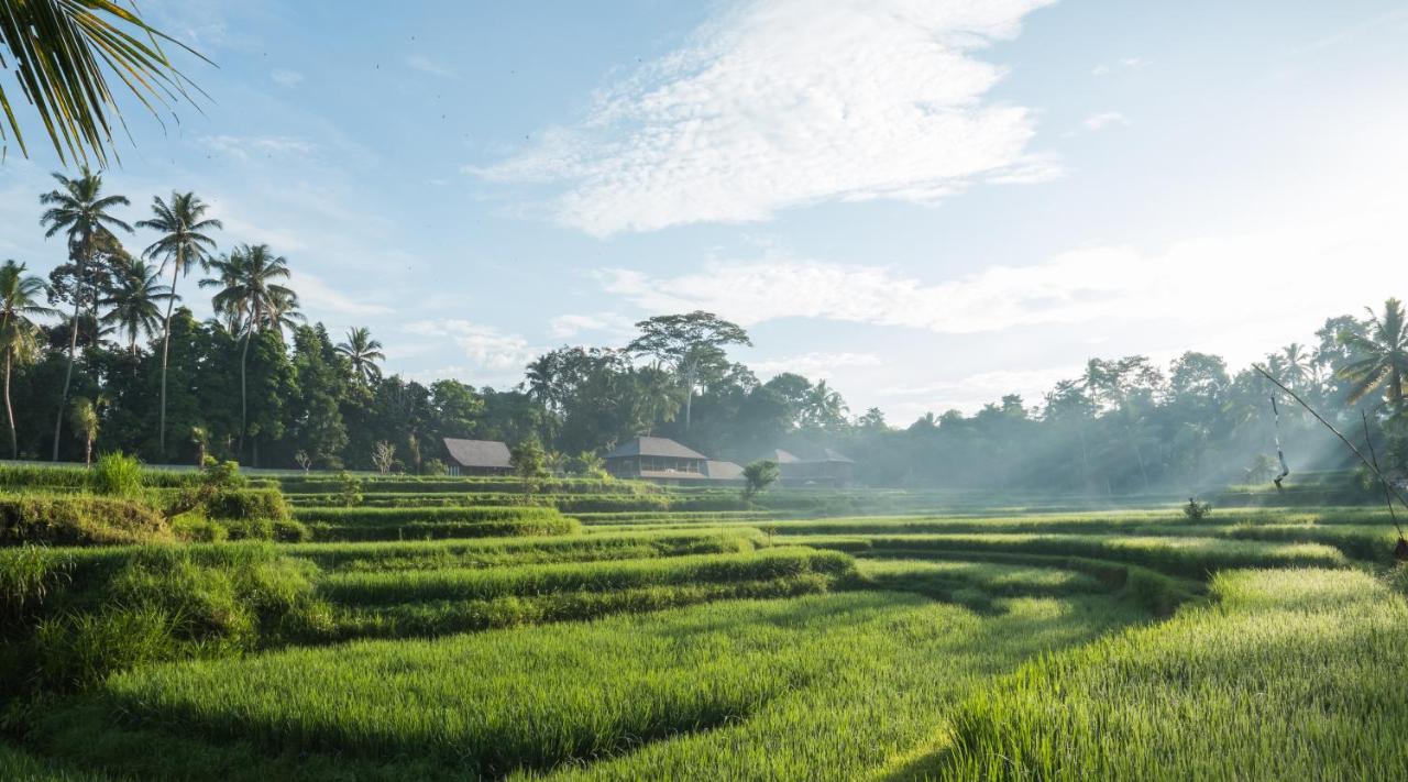 Benisari Batik Garden Cottage Ubud  Bagian luar foto