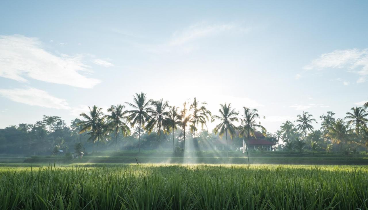 Benisari Batik Garden Cottage Ubud  Bagian luar foto